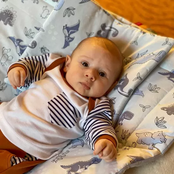 New Baby Oboustranný Set z Velvet do kočárku pávi růžový